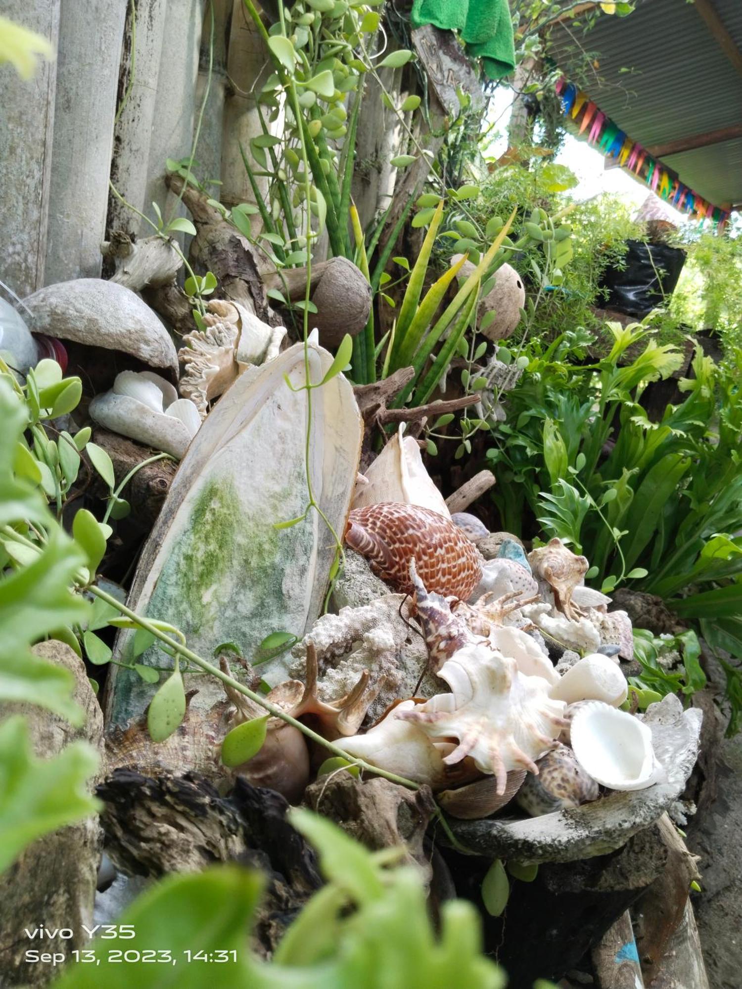 Shirley'S Cottage - Pamilacan Island Baclayon Exterior foto