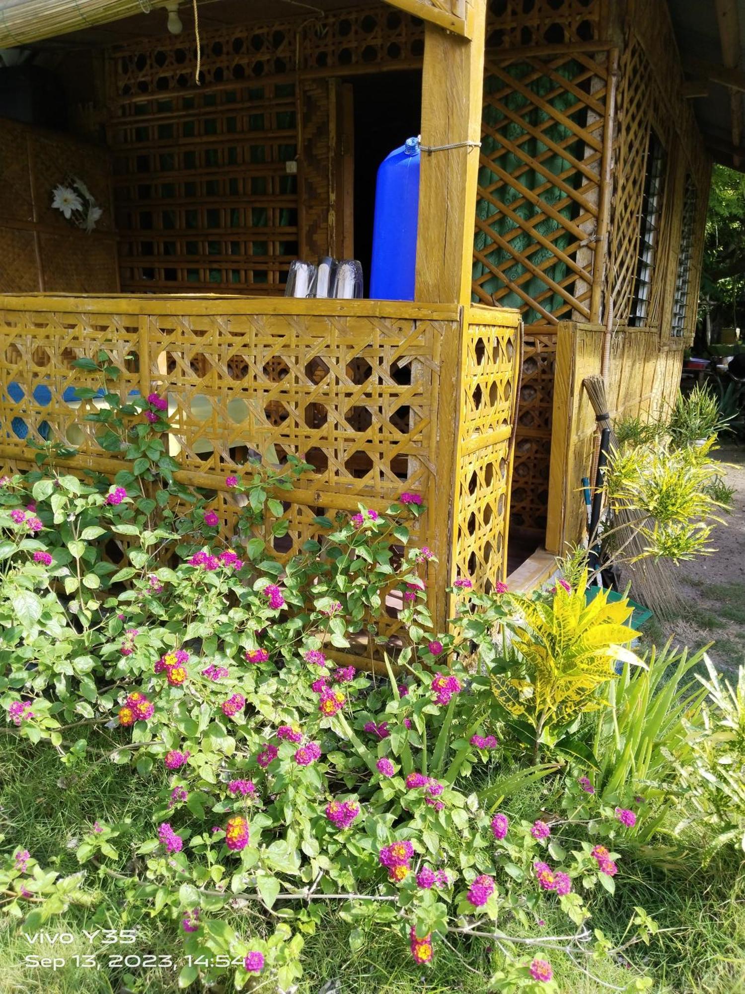 Shirley'S Cottage - Pamilacan Island Baclayon Exterior foto
